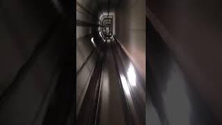 Metro stopped suddenly inside tunnel | Metro tunnel view #metro #tunnel #cabview #shorts