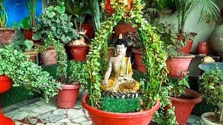 Jade plant ki chhoti chhoti cutting taiyar kr dherondiy topiary banaye#diy#maacreativekitchengarden