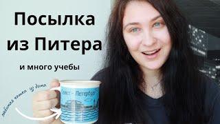 Любимые вещи, курсы и обычная рутина | Юля Пар