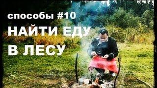 Галилео. Способы 10. Найти еду в лесу