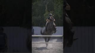 Tysm to ​⁠​⁠@Emily1-g9u for this edit! I love it! Who’s seen the new Chase me Charlie video?#horse