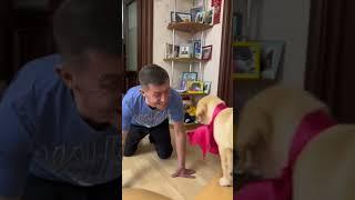 Забота об эмоциях. Как сделать мужчину счастливым?Подарок.Собака #happy #dog #doglover #present #fyp