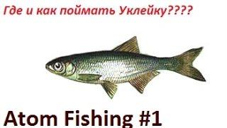 Где поймать Уклейку в игре Atom Fishing.