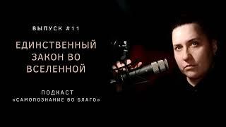 11. Единственный закон во Вселенной. Закон Свободы Воли. Взаимодействие с сущностями