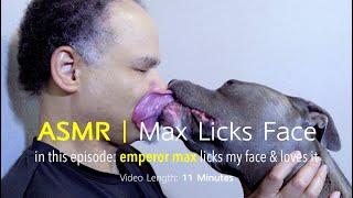 Max Licks | Face | ASMR DOG LICKING