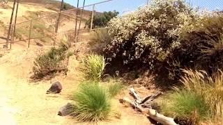 San Diego zoo safari park Africa tram sfari full tour 2017