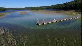 People On The Bridge On The Lake Near Forest - cutestockfootage.com