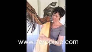 Leonard Cohen - Anthem (Cover) HarpPixie