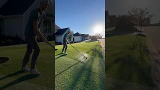 Bad day to be a blade of grass ️