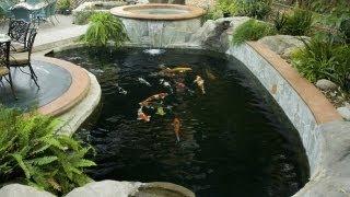 Pond building 101 (20 questions to ask yourself before building a koi pond.