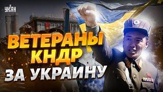 Внезапно! Корейцы поддержали Украину. Ветераны КНДР - против армии Кима. На фронте ждут гостей