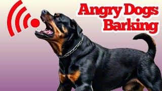 Dogs Barking | Barking Dog Sound Effect | कुत्ता की आवाज | Kutte Ki Awaaz