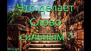 Что делает Слово сильным ? Свиридченко Ю.В.