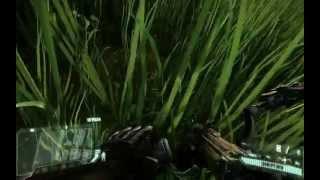 Crysis3 (Ultra настройки)