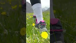 Альпийские луга в ущелье Туюк