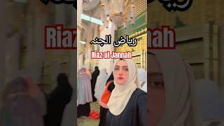 Riaz Ul JANNAH  Masjid Al Nabwi Madina #riazuljannah #madina #masjidnabawi #shorts #shortvideo