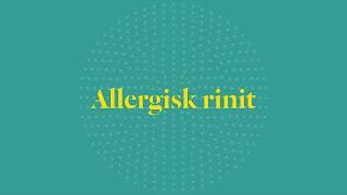 Allergisk rinit