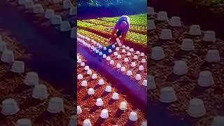 cool skill to open plant cover #shorts