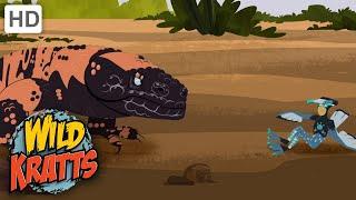 Wild Kratts | Roadrunner | Full Episode | Season 2