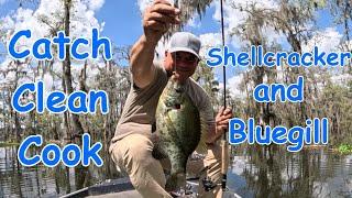 Shellcracker and Bluegill (Catch * Clean * Cook)