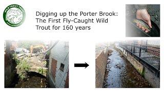 Digging Up The Porter Brook: The First Fly-Caught Wild Trout for 160 Years