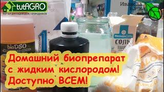 ВЫРАЩИВАЕМ ДОМАШНИЕ БИОПРЕПАРАТЫ. Очень простой способ с перекисью водорода. Доступно всем!