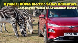 Kona Electric Safari Adventure at Chessington World of Adventures Resort