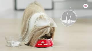 ROYAL CANIN® COAT CARE