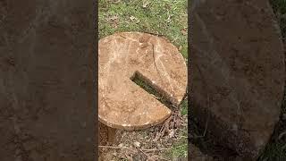The Worst DIY Septic Fix Ever?