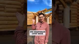 Кедровый сруб в продаже #красивыйдом #сруб #shorts #деревянныедома #баняизбревна  #зухрашакирова