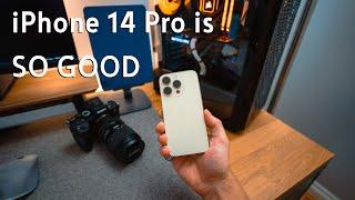 48 Megapixel Sensor Is INSANE! iPhone 14 Pro One Week Photographer Review