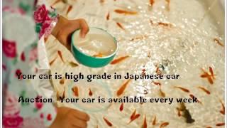 Japanese culture is Japanese car , You and Japanese car can connect with Nile United co.,lt.