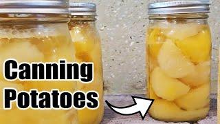 Preserving our Potato Harvest by Canning Them!