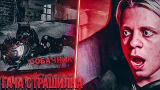 ГАЧА СТРАШИЛКА "СОБАЧНИК" // Гача клуб страшные истории | Реакция пандекса на Gacha life