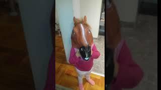 Halloween Party Horse Head Mask