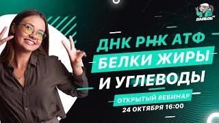 ДНК, РНК, АТФ, белки, жиры и углеводы| Биология ЕГЭ 2021 | ДАЙБОБРУ