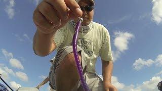 Finesse bass fishing - Gambler Webo worm
