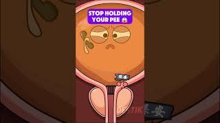 Stop Holding Your Pee!  (Your Bladder is Not a Storage Unit!)
