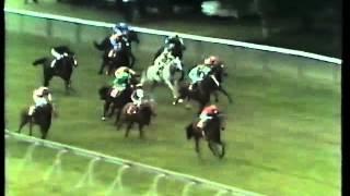 Moorestyle - 1980 July Cup