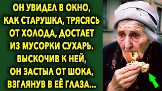 Он увидел в окно, как старушка достает из бака сухарь, поспешив к ней, он побелел...