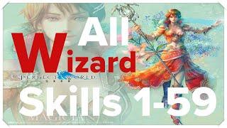 Perfect World International - All Wizard skills (1-59)