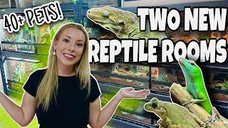 REPTILE ROOM TOUR 2023!! NEW PET ROOMS