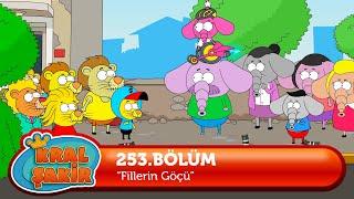 Kral Şakir 253. Bölüm - Fillerin Göçü