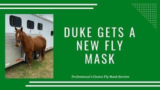 Professional's Choice fly mask review.