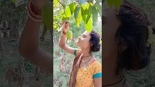 SHORT COMEDY VIDEO ANJALI CHAUPAL KA FUNNY 