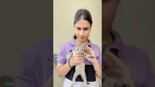 Latest punjabi song |ap dhillon new song |stfu song|stfu song status | stfu reaction #shorts #love