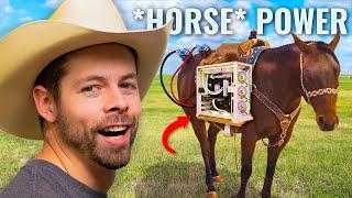 I Built a Horse Powered PC Setup