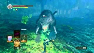 Dark Souls Giant Cat