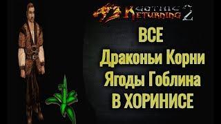 ХОРИНИС: Все Ягоды Гоблина и Драконьи Корни | Готика2  Gothic2[R2+AB]