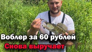 КИТАЙСКИЙ ВОБЛЕР  ЗА 60 РУБЛЕЙ! СНОВА ВЫРУЧАЕТ- рыбалка на спиннинг